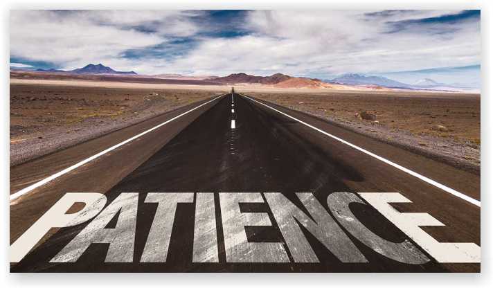  Patience & Tenacity