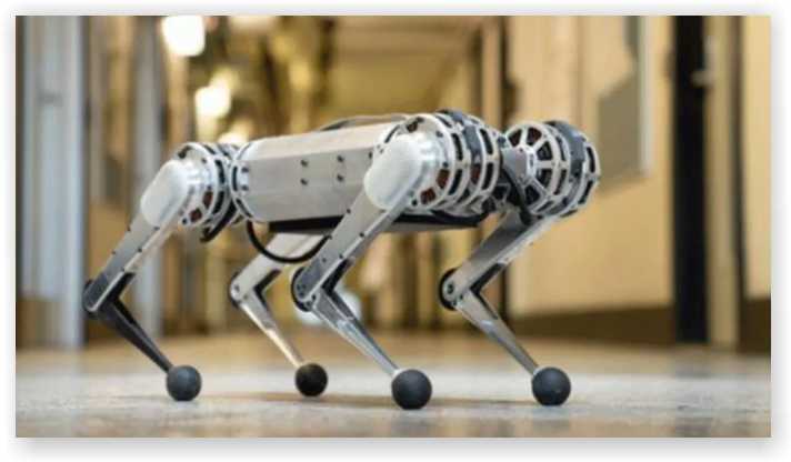 Robotic guide dogs