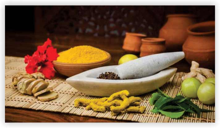 Herbal and Ayurvedic Product Distribution Business