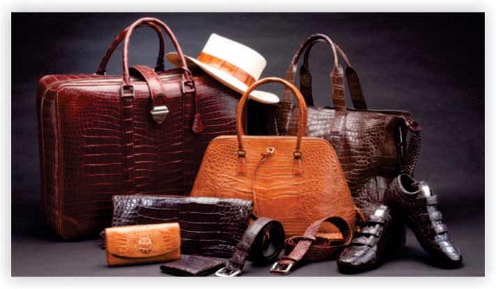Leather Products Distribution Business