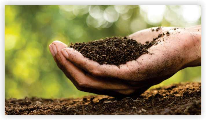 Organic Fertilizer Producer