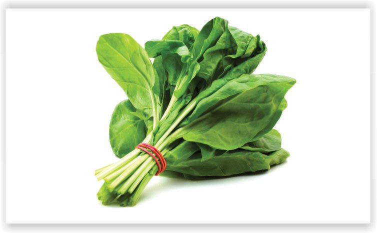 Spinach