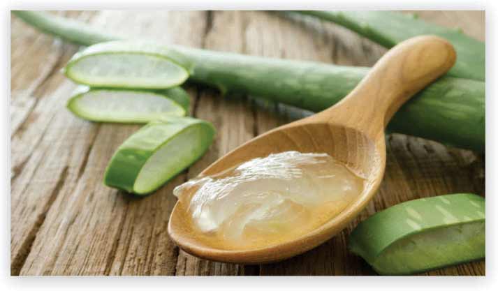 Aloe Vera Gel