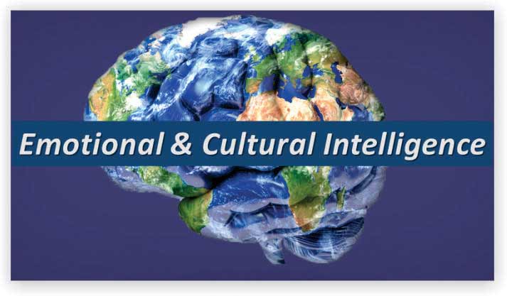 Emotional and Cultural Intelligence