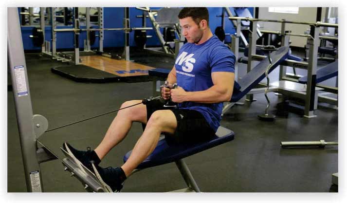 Seated Cable Row