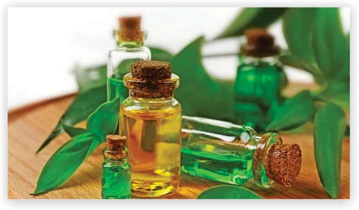 Tea Tree Oil