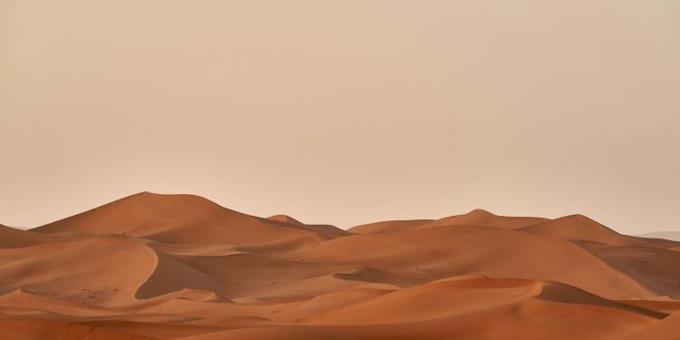 Photo by Wolfgang Hasselmann on Unsplash